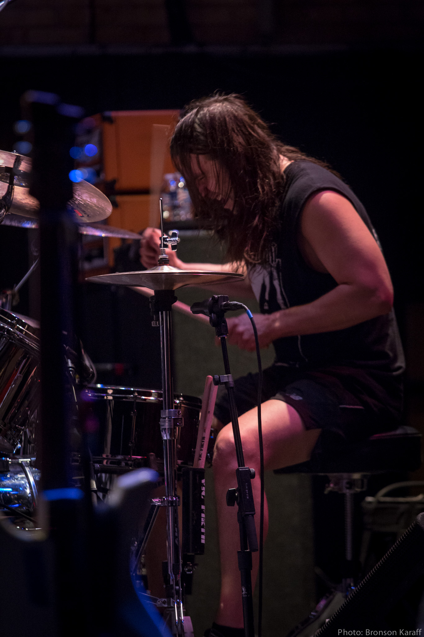 Bob Dylan with Cats Reviler