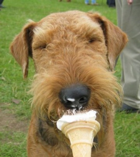 ice cream