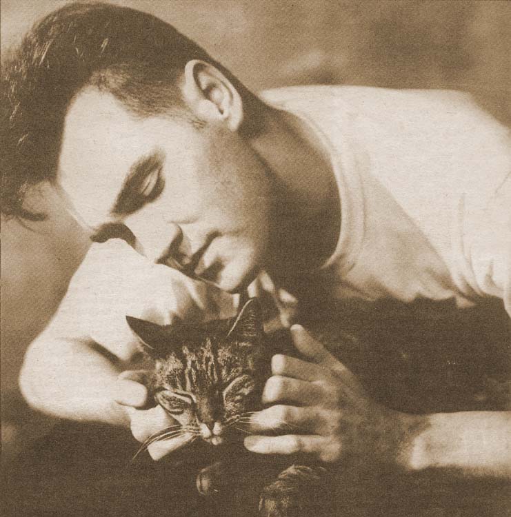 morrissey.jpg