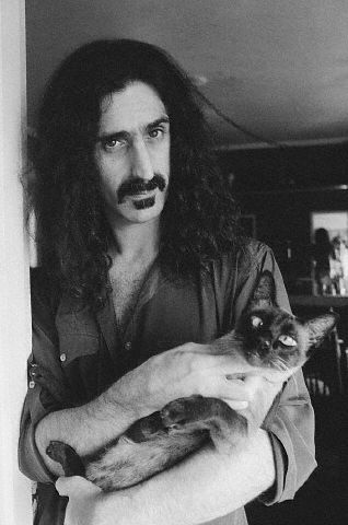 http://www.reviler.org/wp-content/uploads/2010/11/frank-zappa-cat.jpg