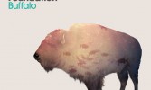 The-Phoenix-Foundation-Buffalo