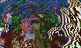 Video: Prince Rama “Golden Silence”