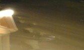 amazing_births_younger_moon