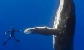 high_five13121111-300x278