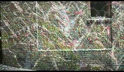 Video: Teenage Moods “World Boquet”