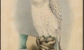 artworks-000018918320-avy63u-original