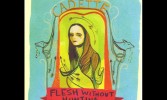 cadettefwhcover