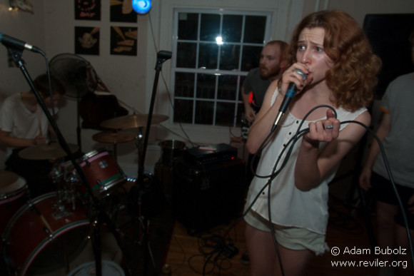 The Miami Dolphins 01