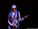Noveller