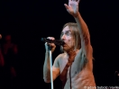 Iggy Pop