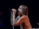 Iggy Pop