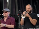 The Roots