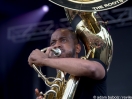 The Roots