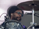 The Roots