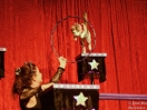 acro cats 17