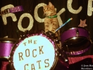 acro cats 2