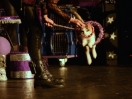 acro cats 22