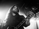 Wolves In The Throne Room