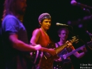 big thief cedar 2