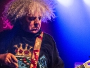 Melvins