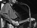 The Cactus Blossoms