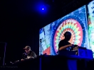 DJ Shadow and Cut Chemist