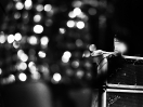 DSC_0203web