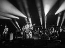Modest Mouse
