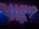 The Flaming Lips