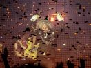 The Flaming Lips