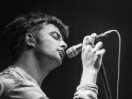 Fontaines DC