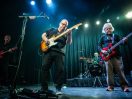 Frank Black