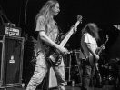 Inter Arma
