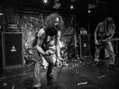 Inter Arma