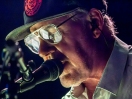 Grandaddy