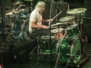 Porcupine54