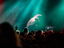 JohnMaus33