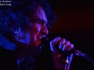 Jon Spencer Blues Explosion