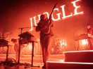 Jungle