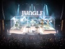 Jungle