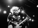 Melvins