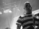 Mogwai