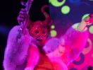 ofmontreal53