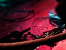 DSC_0211web