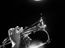 DSC_0258web
