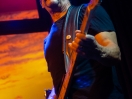 Porcupine6
