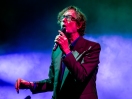 Pulp