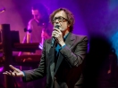 Pulp