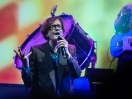 Pulp