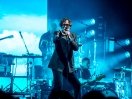 Pulp